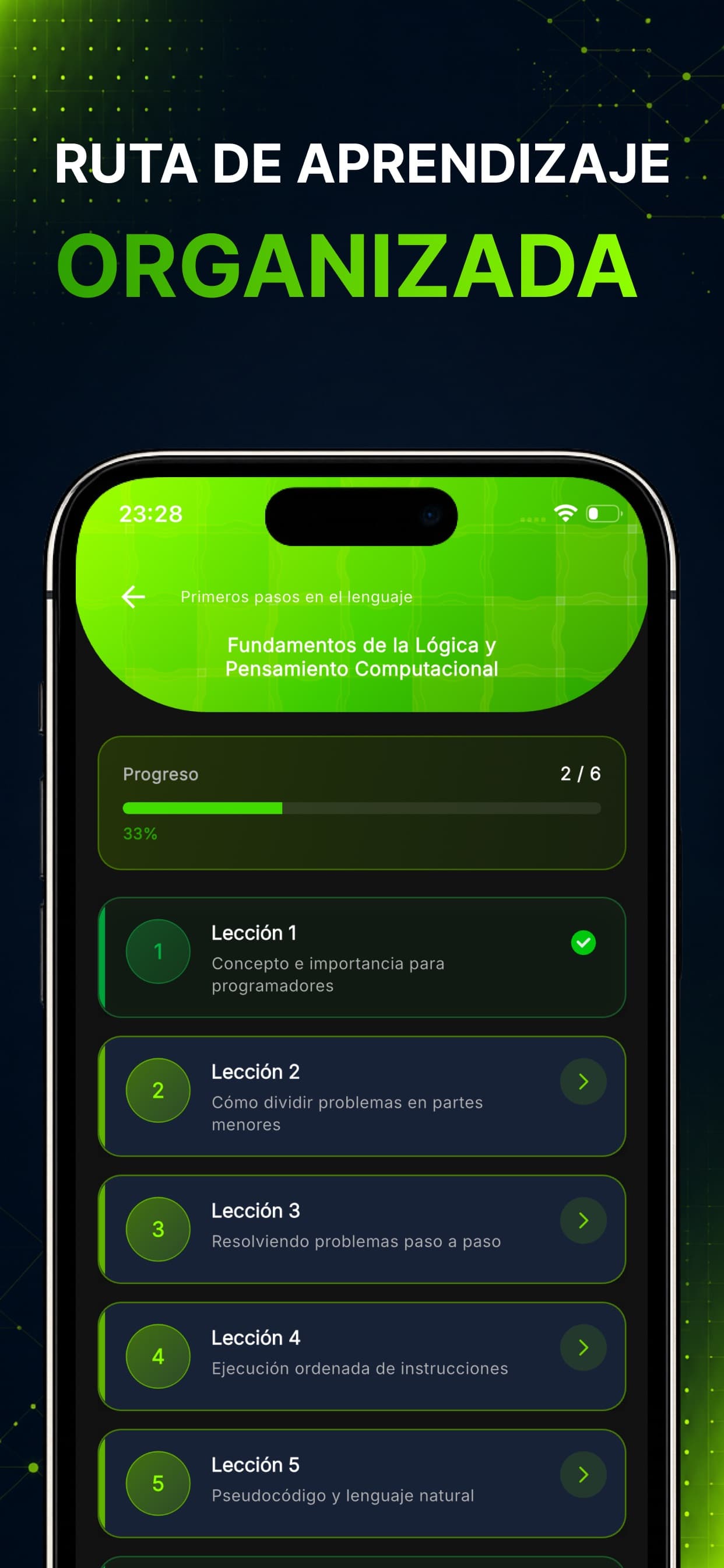Lecciones organizadas